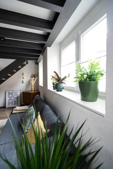 Apartment In Weinstadt-Schnait Exteriör bild